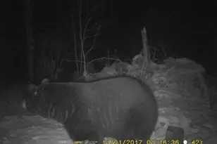 1408 Turtle Lake Rd, Gaylord, MI 49735 - Photo 66