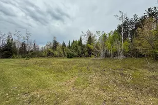 1408 Turtle Lake Rd, Gaylord, MI 49735 - Photo 48