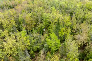 1408 Turtle Lake Rd, Gaylord, MI 49735 - Photo 42