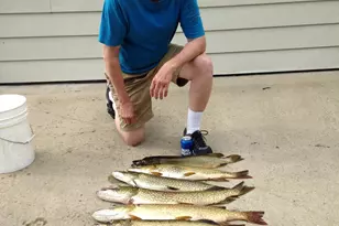 1408 Turtle Lake Rd, Gaylord, MI 49735 - Photo 60