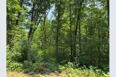 Steinberg Road, Wellston, MI 49689 - Photo 4