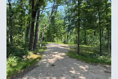 Steinberg Road, Wellston, MI 49689 - Photo 2