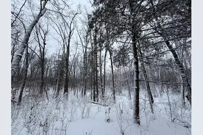 Steinberg Road, Wellston, MI 49689 - Photo 6