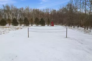 3879 Shamrock Dr, Lapeer, MI 48446 - Photo 42