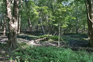 3879 Shamrock Dr, Lapeer, MI 48446 - Photo 40