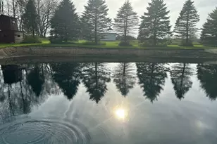 3879 Shamrock Dr, Lapeer, MI 48446 - Photo 36