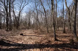 9673 N 27th St, Richland, MI 49083 - Photo 4