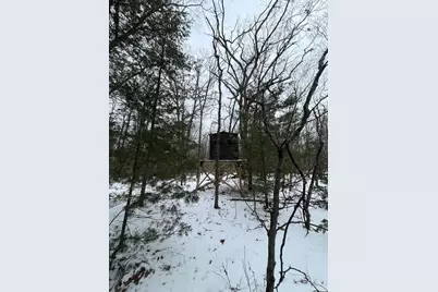 121 W Pierce Drive, White Cloud, MI 49349 - Photo 6