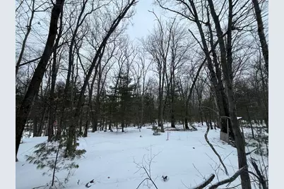 121 W Pierce Drive, White Cloud, MI 49349 - Photo 8