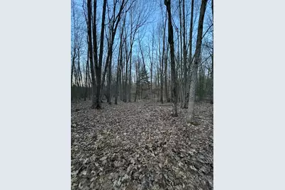 V/L S Tyndall Road, Branch, MI 49402 - Photo 4