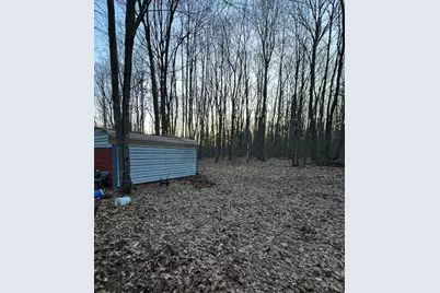 V/L S Tyndall Road, Branch, MI 49402 - Photo 6