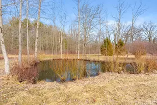 29541 40th Ave, Paw Paw, MI 49079 - Photo 28