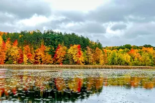 12294 Cranes Ave, Richland, MI 49083 - Photo 10