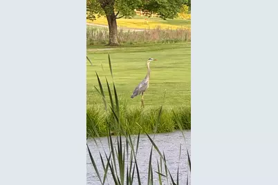 12294 Cranes Avenue, Richland, MI 49083 - Photo 52