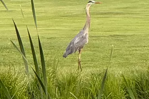 12294 Cranes Ave, Richland, MI 49083 - Photo 52