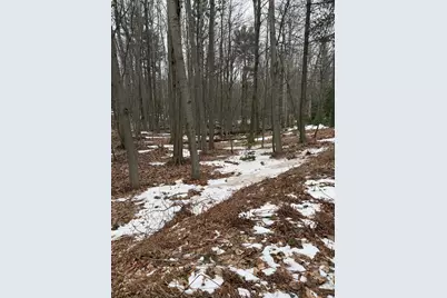 West Fox Farm Road, Manistee, MI 49660 - Photo 8