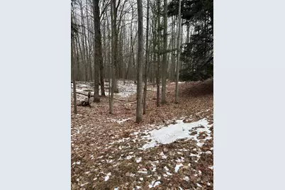 West Fox Farm Road, Manistee, MI 49660 - Photo 12