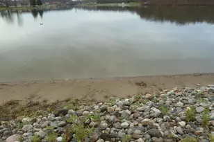 14600 W Diane Dr, Camden, MI 49232 - Photo 104