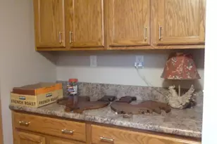 14600 W Diane Dr, Camden, MI 49232 - Photo 26