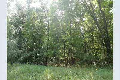 Parcel C 16th Avenue, Grand Junction, MI 49056 - Photo 6