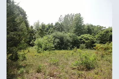 Parcel C 16th Avenue, Grand Junction, MI 49056 - Photo 14