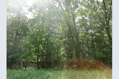 Parcel C 16th Avenue, Grand Junction, MI 49056 - Photo 4