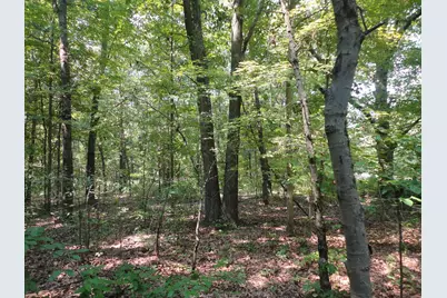 Parcel C 16th Avenue, Grand Junction, MI 49056 - Photo 2