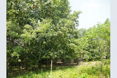 Parcel C 16th Avenue, Grand Junction, MI 49056 - Photo 16