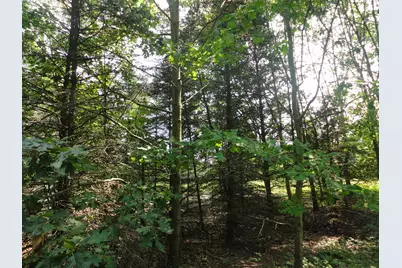 Parcel C 16th Avenue, Grand Junction, MI 49056 - Photo 12