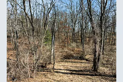 Mill Street, Albion, MI 49224 - Photo 4