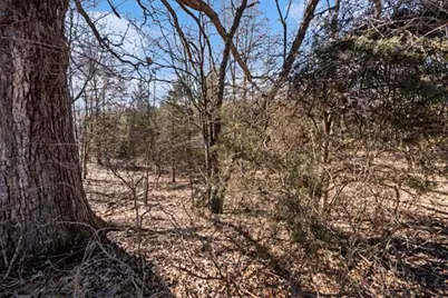 State Street, Albion, MI 49224 - Photo 2