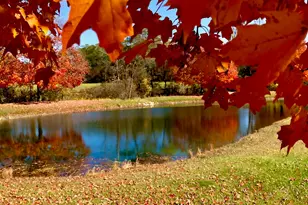 1246 Rose Center Rd, Fenton, MI 48430 - Photo 108