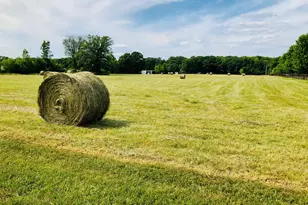 1246 Rose Center Rd, Fenton, MI 48430 - Photo 112