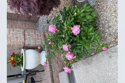 29591 Green Acres, Farmington Hills, MI 48334 - Photo 50