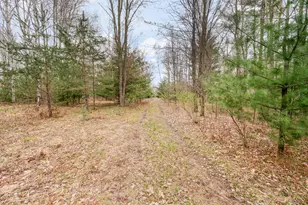 22132 15th Ave, Sears, MI 49679 - Photo 34