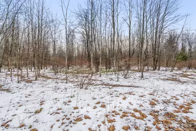 Vl 0000 108th Ave, Pullman, MI 49450 - Photo 26