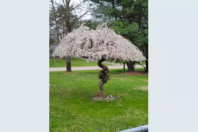 165 Thelma Drive, Battle Creek, MI 49014 - Photo 34