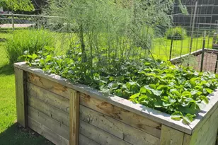 165 Thelma Dr, Battle Creek, MI 49014 - Photo 32