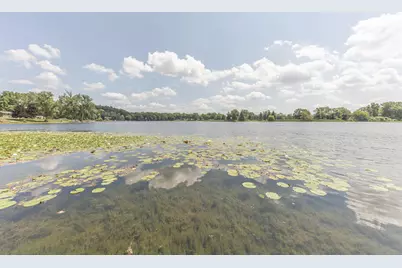 529 Timber Lane, Brooklyn, MI 49230 - Photo 50