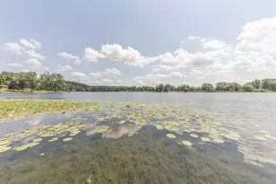 529 Timber Ln., Brooklyn, MI 49230 - Photo 50