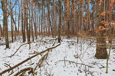 3618 Russell Street NE, Cedar Springs, MI 49319 - Photo 10