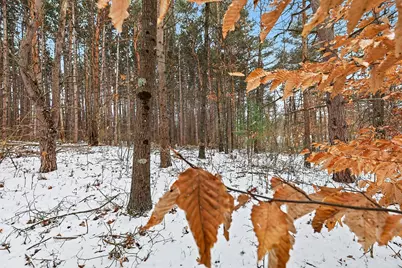 3618 Russell Street NE, Cedar Springs, MI 49319 - Photo 12