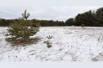 3750 Russell Street NE, Cedar Springs, MI 49319 - Photo 10