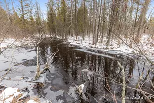 1591 W Fruitvale Rd, Montague, MI 49437 - Photo 32