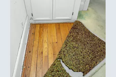 234 Washington Street, Chelsea, MI 48118 - Photo 14