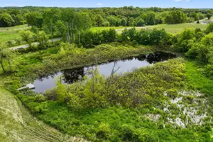 438 E Snow Rd, Baroda, MI 49101 - Photo 4