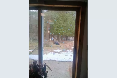 167 Mill Road, Blanchard, MI 49310 - Photo 12