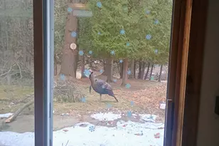 167 Mill Rd, Blanchard, MI 49310 - Photo 12