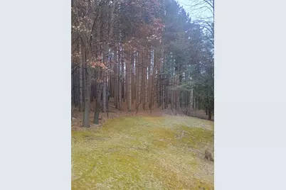 167 Mill Road, Blanchard, MI 49310 - Photo 22