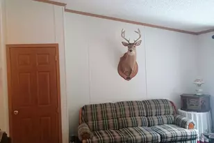 167 Mill Rd, Blanchard, MI 49310 - Photo 6